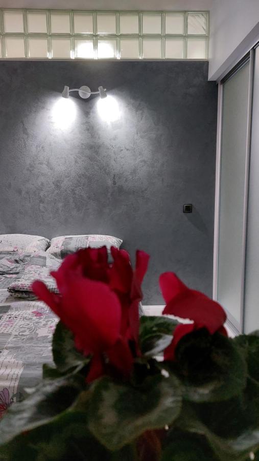 Apartman 23 Beograd Eksteriør bilde
