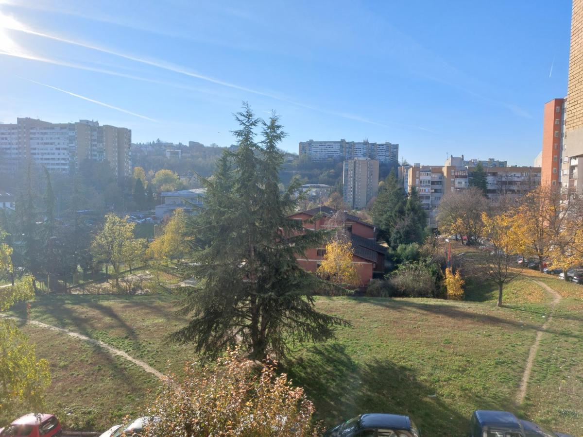 Apartman 23 Beograd Eksteriør bilde
